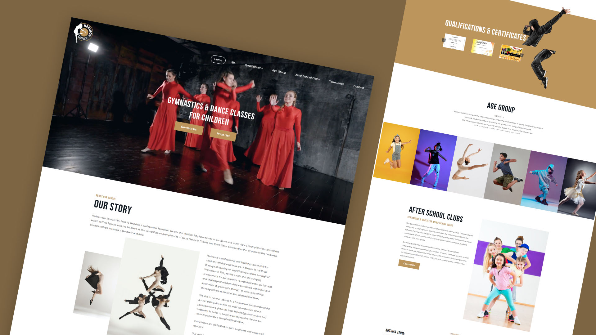 Herinox website — designed and built by Telsa Media