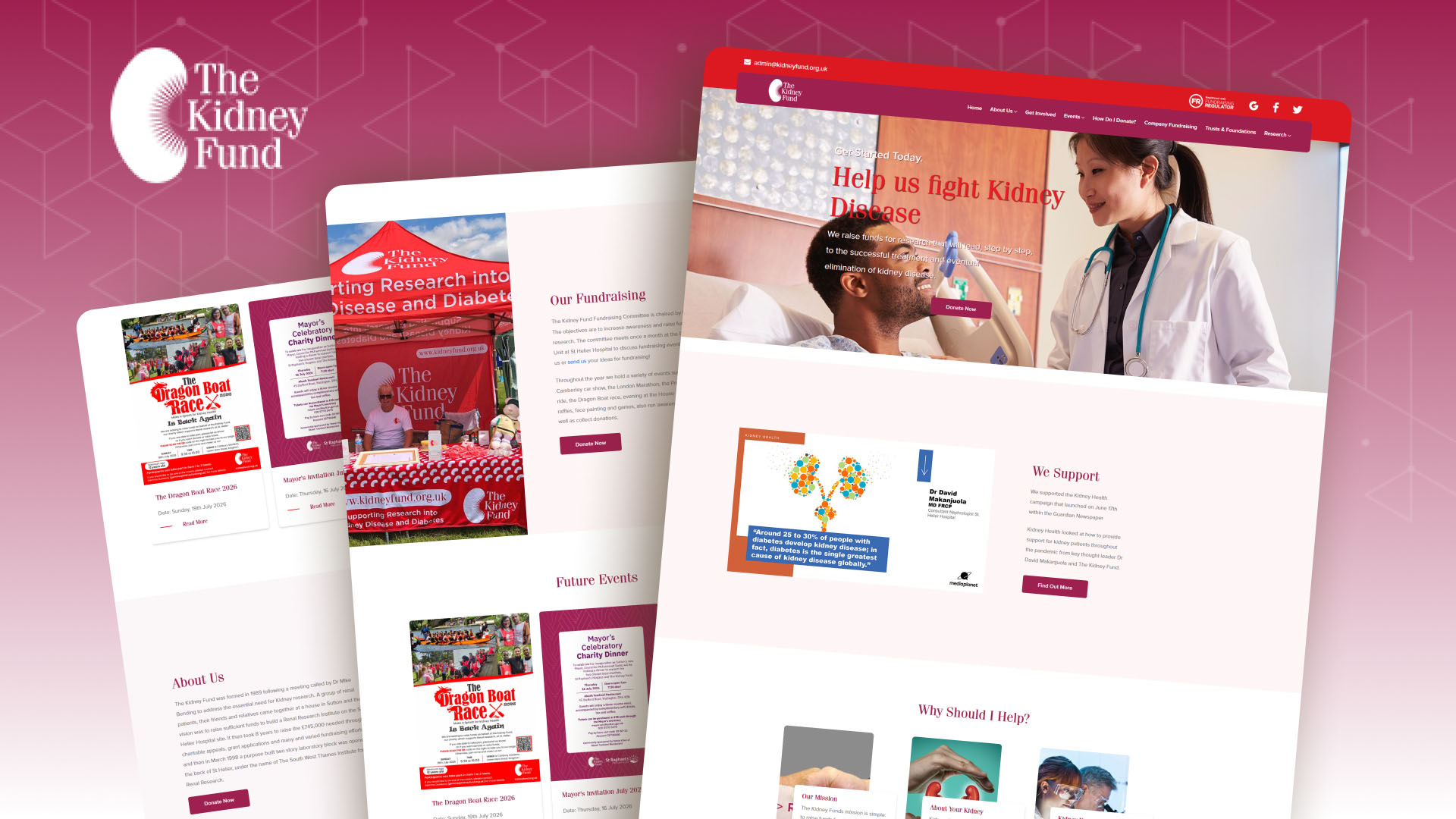 The Kidney Fund website — designed and built by Telsa Media
