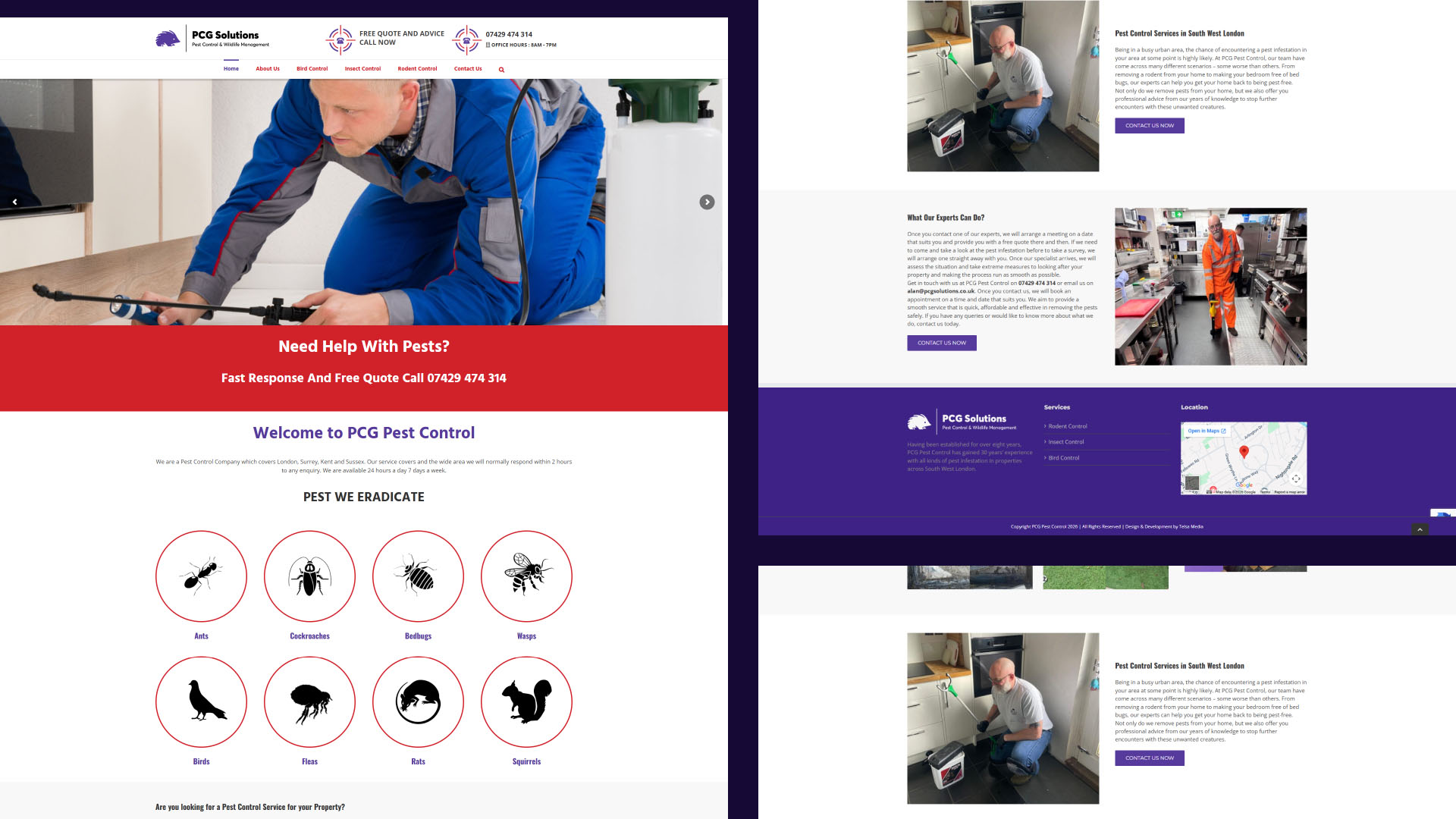 PCG Pest Control website — designed and built by Telsa Media