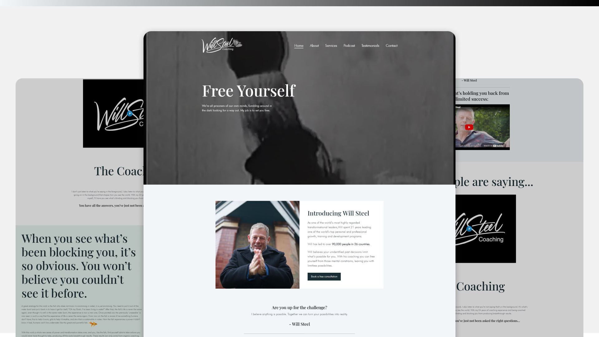 Willsteel website
